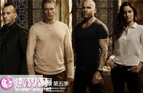 求越狱第五季百度云跪求,谢谢
