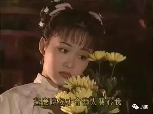 容颜绝美,倾国倾城看了韦小宝的七个老婆,我瞎了
