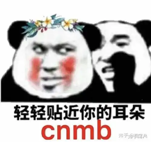 为什么沙雕熊猫可以在众多表情包中脱颖而出