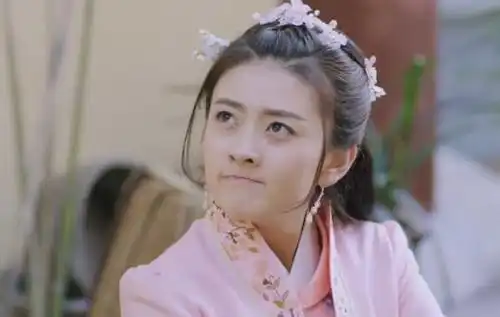 双世宠妃调皮王妃男女主颜值演技pk哪部更好看
