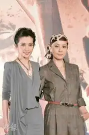 狄仁杰台湾首映刘嘉玲李冰冰大斗性感
