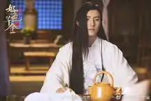 双世宠妃导演又有新作,男主比邢昭林更会撩网友熬夜也追
