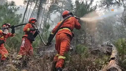 焦点访谈丨严防小火酿大祸清明前后怎么严防森林火灾

