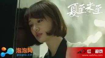 夏至未至主题曲是什么夏至未至所有歌曲大串烧
