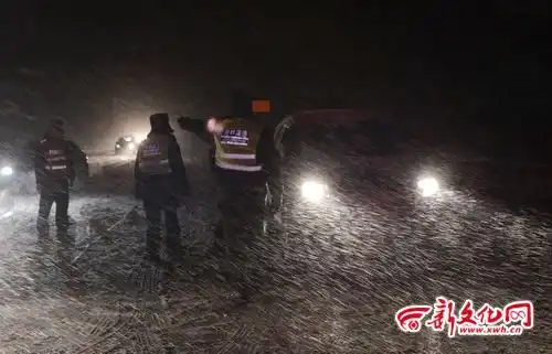 表情长春初中小学因暴雪今天停课表情