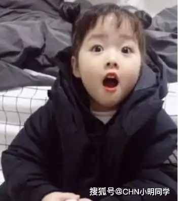 红极一时的权律二长大了,颜值依旧在线,一举一动都是表情包