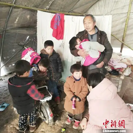 突发变故祖孙6人蜗居大棚众人合力筑安心回家路
