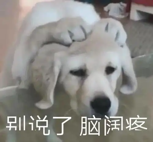 扔鸡蛋表情包狗狗