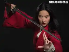 花木兰曝出新剧照,刘亦菲满脸是泥难分辨出男女
