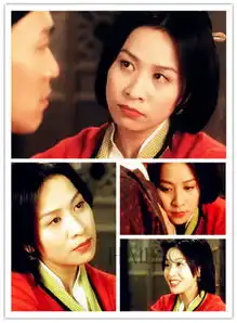 张柏芝赵薇张雨绮舒淇星女郎从来都是大美人