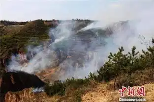 五一西峰肖金发生一起森林火灾,这么多消防官兵都出动了
