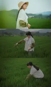 治愈力max的小森林色,就是这样调
