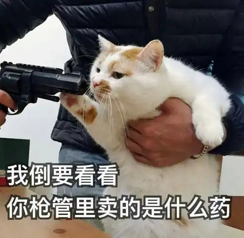 我落榜了,因为考研大小年难度
