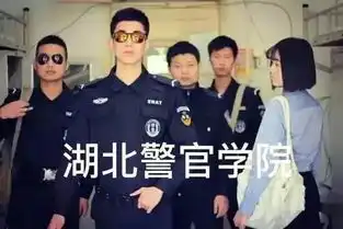 全世界都在模仿太阳的后裔,一定要坚持看到最后
