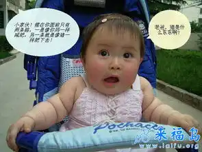 猪是什么东西啊