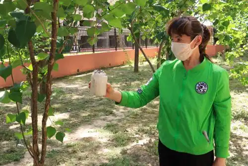 延庆投放一批小虫子,全是森林小卫士
