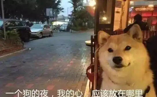单身狗七夕必备生存指南,没有恋爱就没有伤害