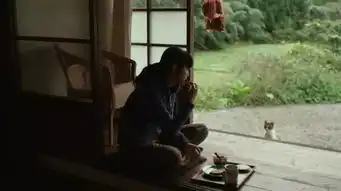 随时采摘,随时食用家庭厨房种植手册