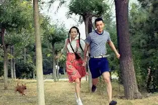 芳华姊妹篇雪藏五年,那部黄晓明赔..飞得更高的主页