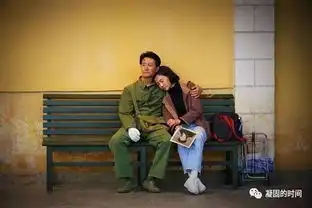 电影芳华唯美剧照,喜欢拿去,每一张都可以做壁纸
