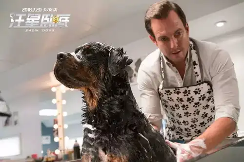 m热映丨球星奥尼尔献声汪星卧底正在热映
