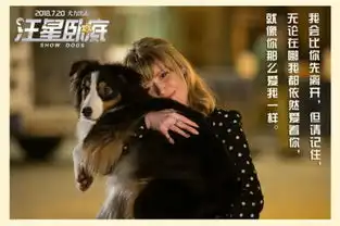 汪星卧底发人狗情缘剧照六封情书萌化铲屎官
