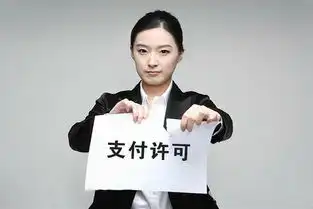 第四张支付牌照被注销润京搜索主动终止支付业务
