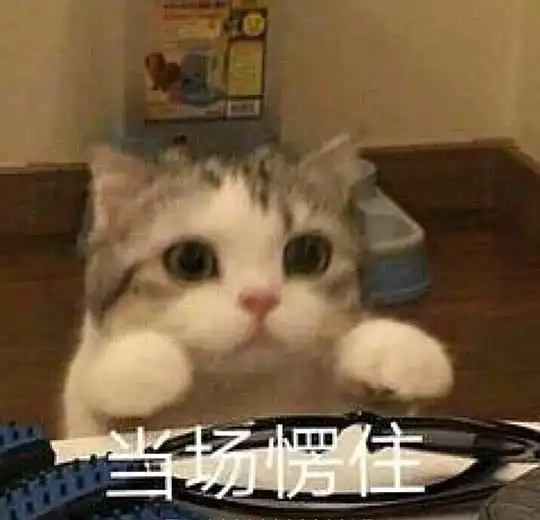 各种表情包大全猫咪