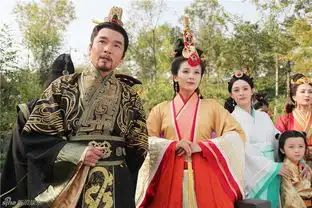 刘涛芈月传的精彩剧照
