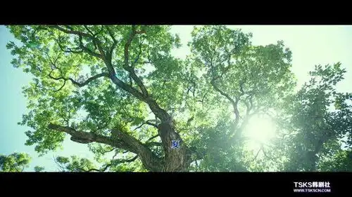 2018年韩国7.3分剧情片小森林看过没
