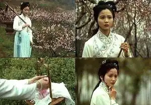 陶慧敏
