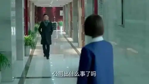 鸡毛飞上天陈江河招司机兼保镖,竟招了骆天宝,直看老婆脸色

