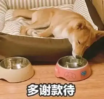 网络中国节七夕七夕除了牛郎织女,还有