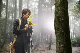 武汉江南美携手yoyo洁具开创史无前例的家装盛宴
