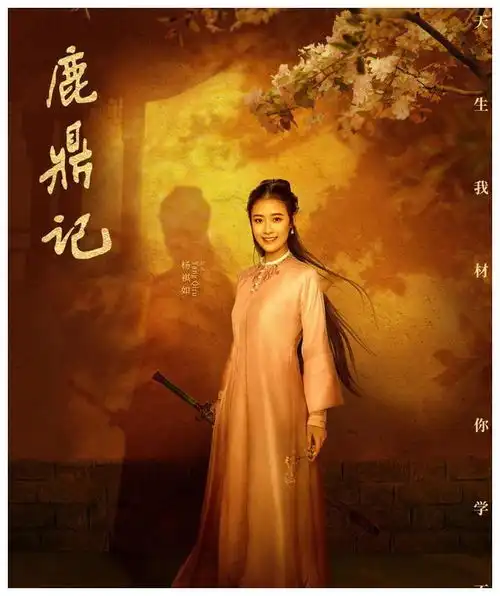 张一山版鹿鼎记的老婆们从百大美女到00后小花,个个美艳
