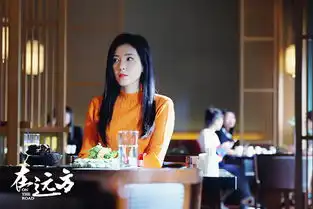 在远方像鸡毛飞上天一样好看

