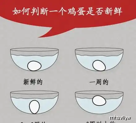 扔鸡蛋表情包搞笑