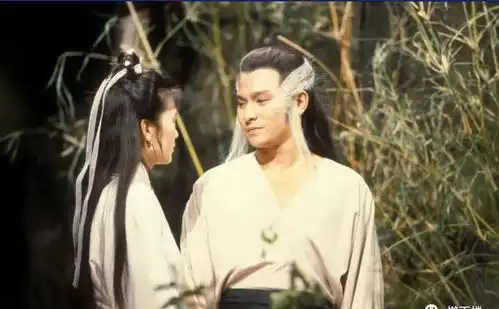 那些年,我们一起看过的电视
