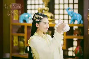 将夜剧照特工皇妃