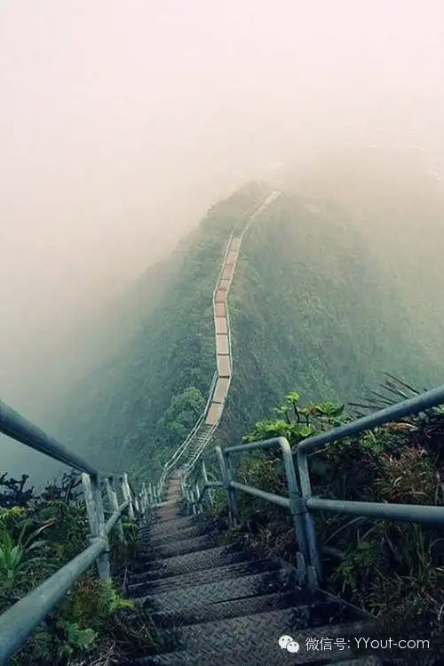 这才是真正秀色可餐的摄影大片,每一张都能做桌面壁纸
