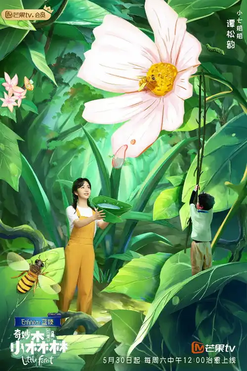 奇妙小森林阵容曝光吴奇隆当爸后育儿首秀
