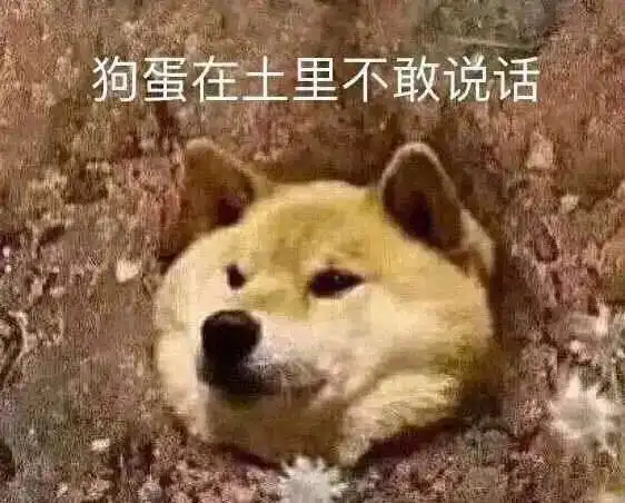 好玩搞怪沙雕表情包集
