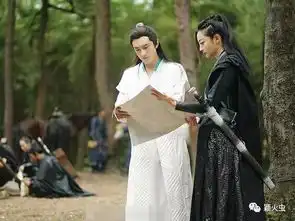 楚乔传蒙枫爱慕宇文玥成楚乔情敌,结局嫁给贺萧