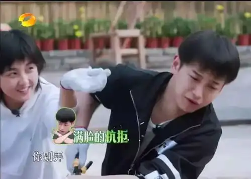 快把我哥带走我想有个哥
