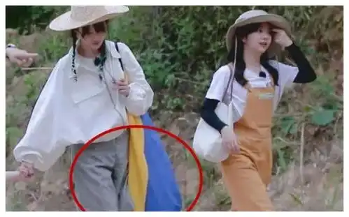 奇妙小森林郑爽郊游拎大包,看清放的啥,网友她竟是这种人
