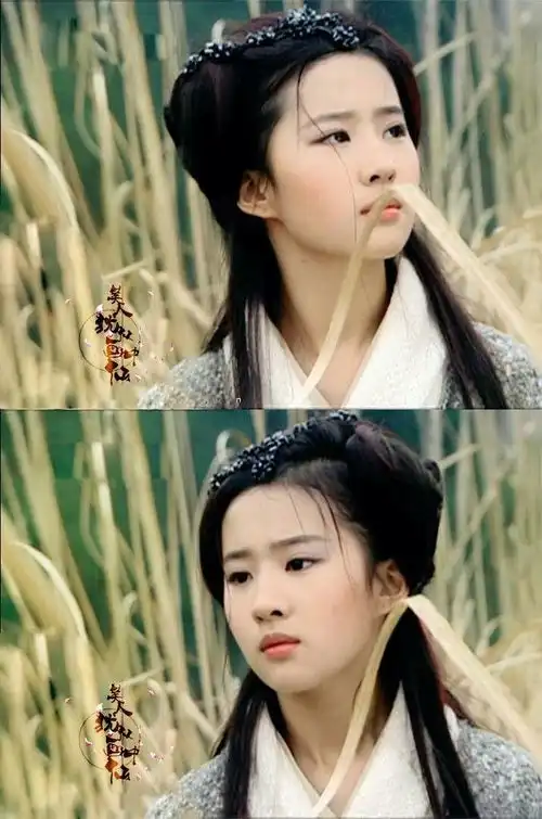 有哪些美得不行的古装扮相
