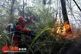 武警龙岩森林支队防火宣传小分队成功处置一起森林火险
