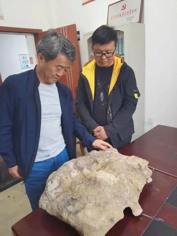 距今3亿年贵州毕节发现古生物化石
