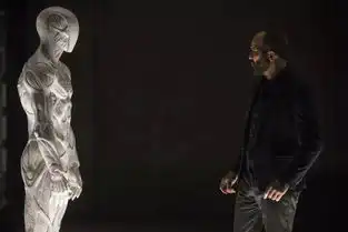 汪民安何为身体,身体何为
