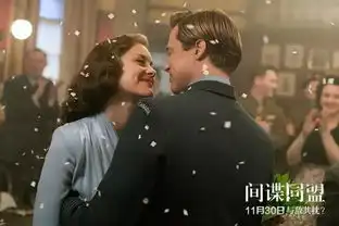 间谍同盟11月30日即将上映当爱情遭遇信念大时代下的抉择
